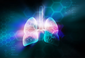 lungs - Copyright – Stock Photo / Register Mark