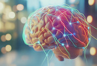 brain - Copyright – Stock Photo / Register Mark